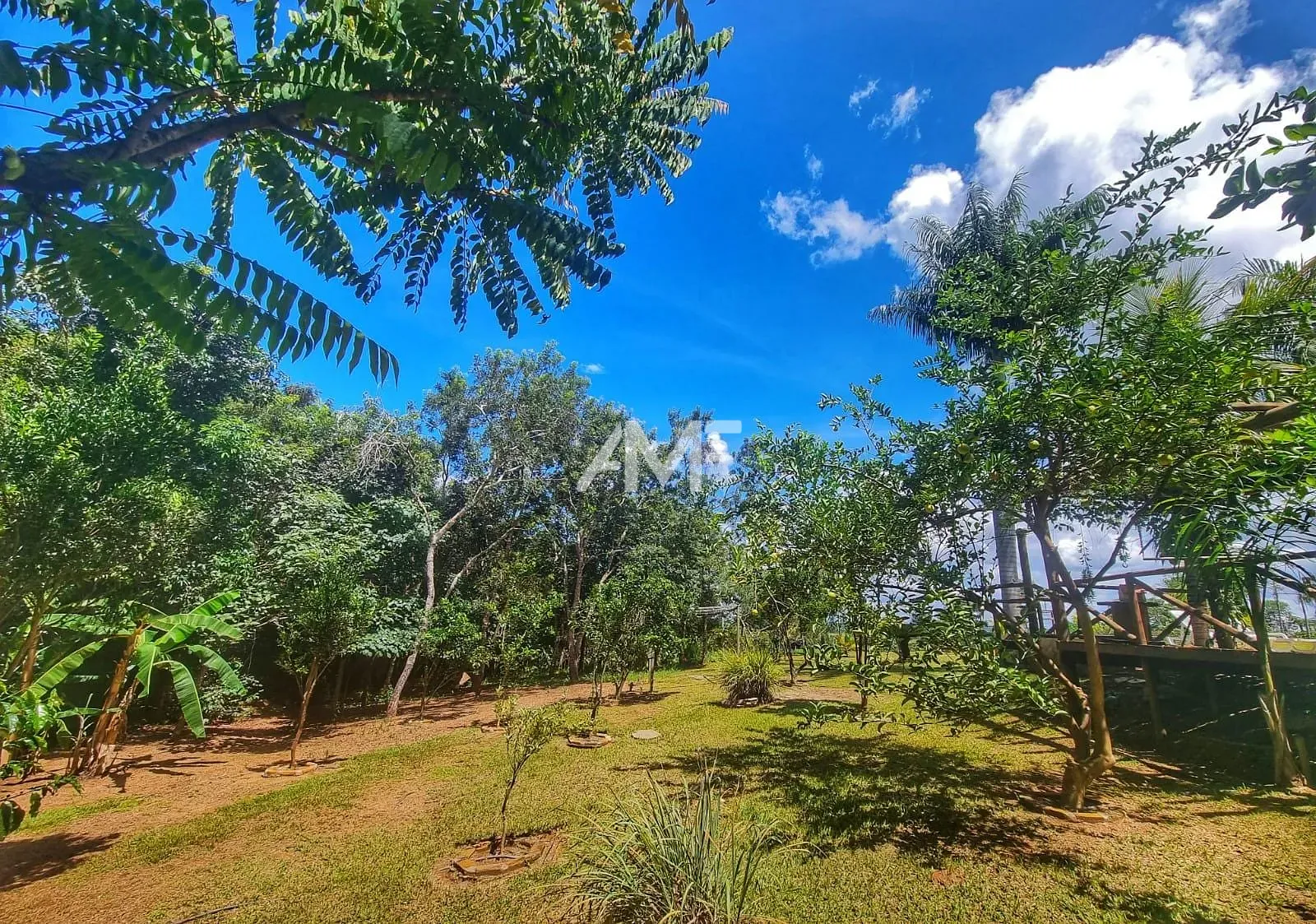 Chácara, 4 quartos, 2 hectares - Foto 39