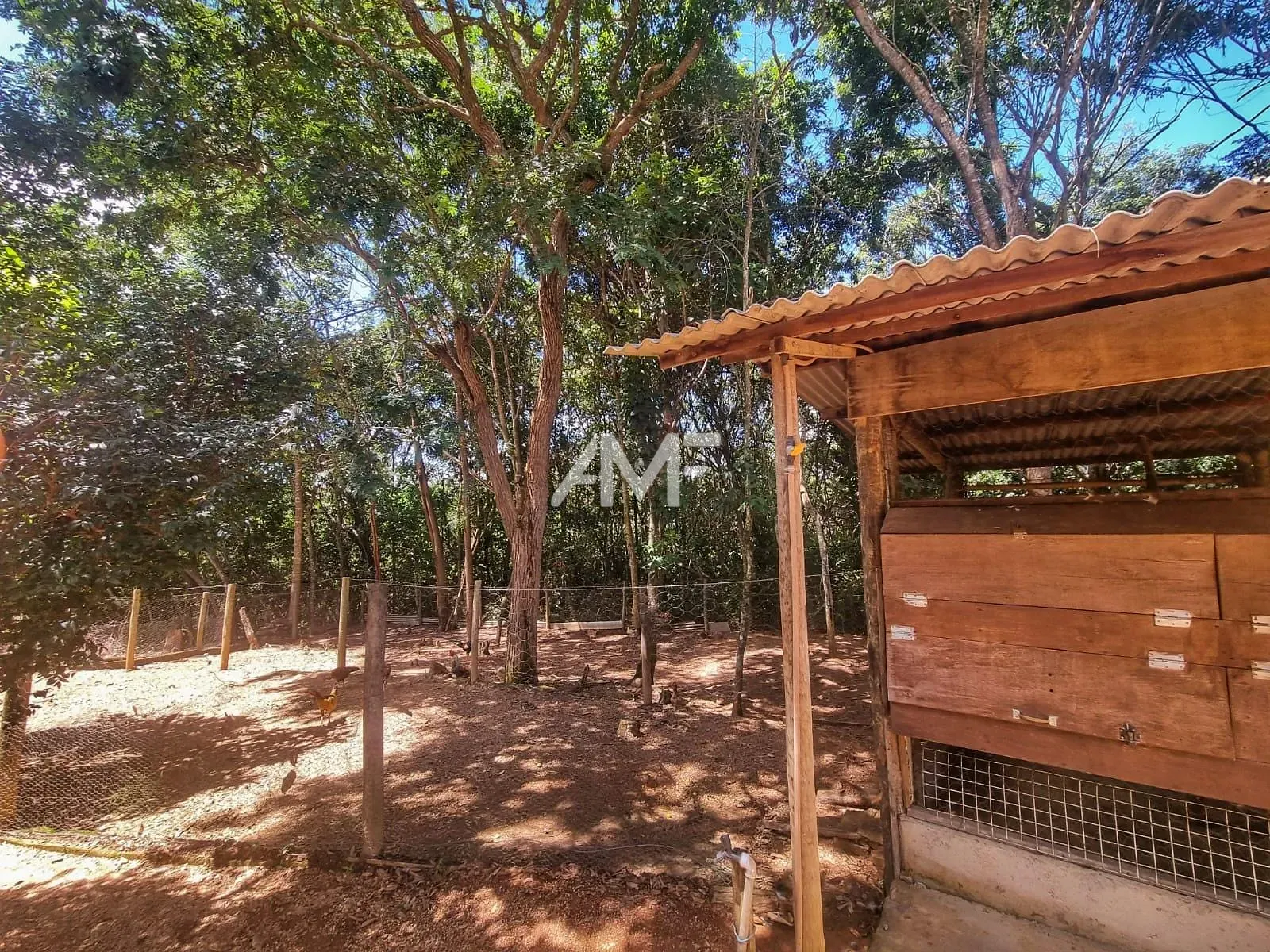 Chácara, 4 quartos, 2 hectares - Foto 38