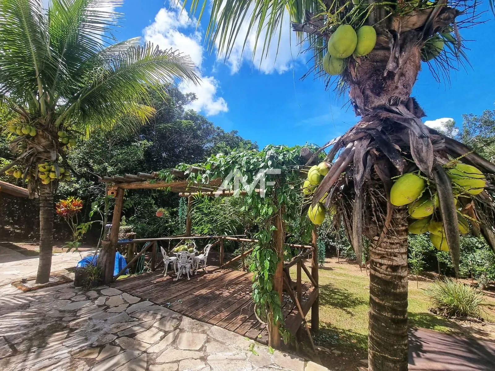 Chácara, 4 quartos, 2 hectares - Foto 33
