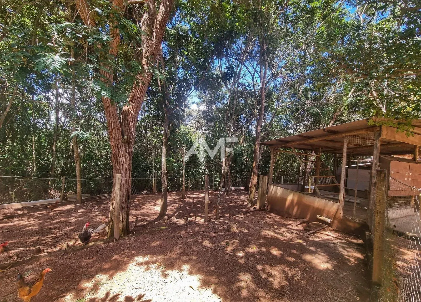 Chácara, 4 quartos, 2 hectares - Foto 47