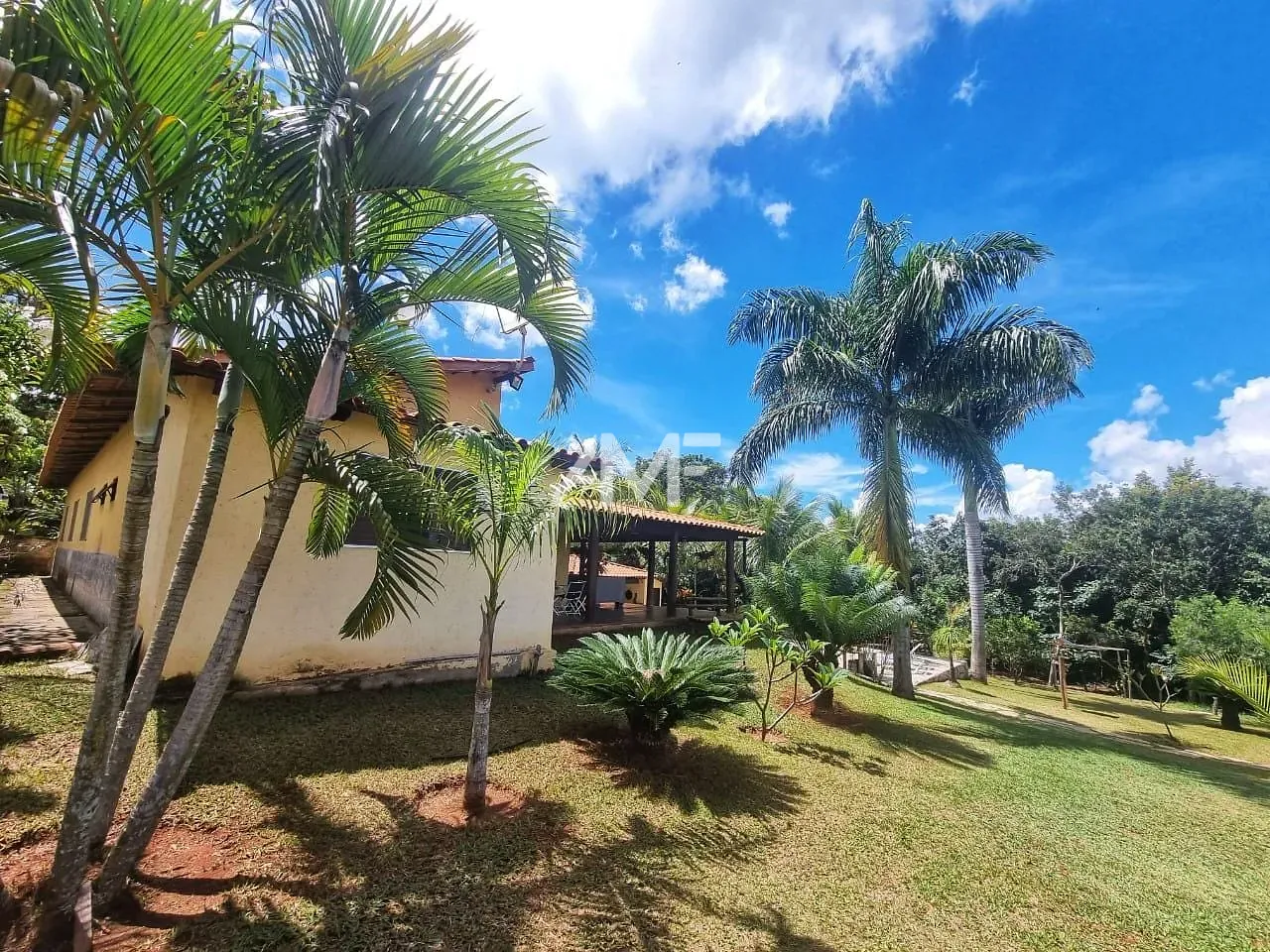 Chácara, 4 quartos, 2 hectares - Foto 48