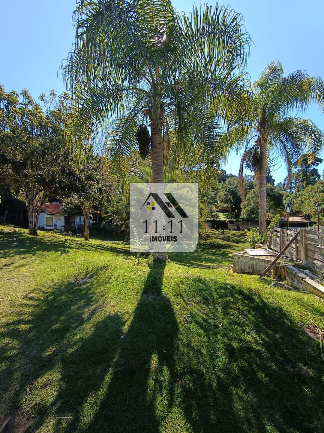 Chácara, 4 quartos, 3 hectares - Foto 5