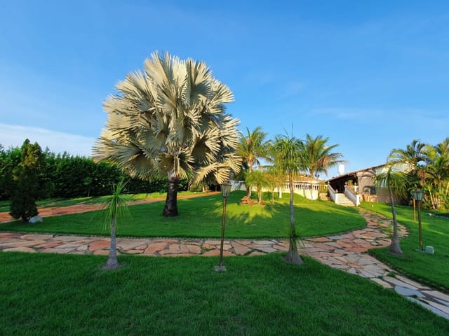 Chácara à venda, Central, Nova Veneza, GO