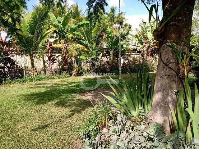 Chácara com 10000m² 3 quartos e 3 banheiros, à venda, no bairro Km 13 - Bairro Colégio em Travessão