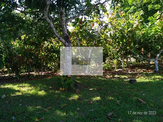 Chácara com 16m² 3 quartos e 1 banheiro, à venda, no bairro Ilhéus II em Ilhéus