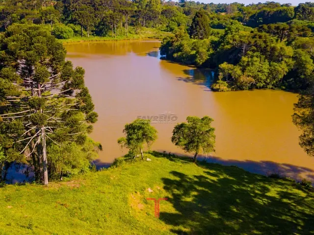 Chácara com 161500m² 1 quarto e 1 banheiro, à venda, no bairro Estação em Araucária