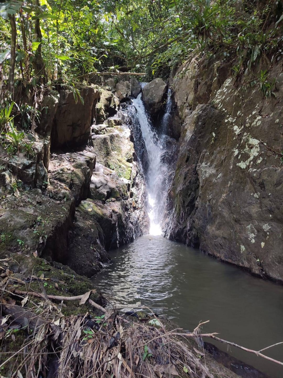 Chácara à venda, Vale do Selke, Pomerode, SC — foto 6