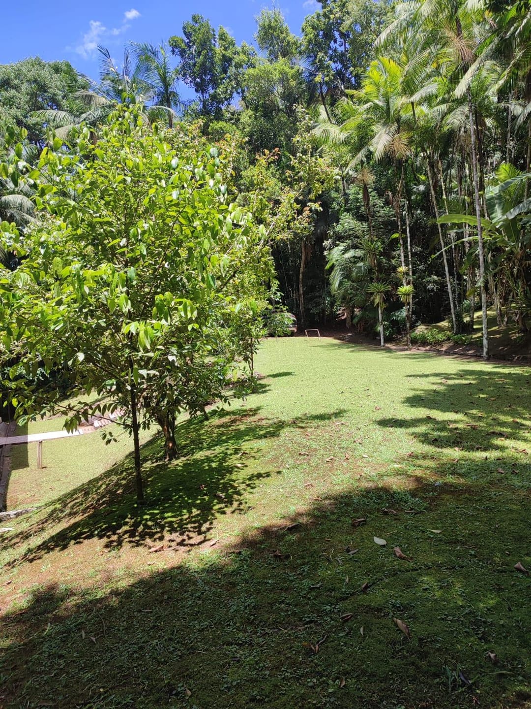 Chácara à venda, Vale do Selke, Pomerode, SC — foto 5