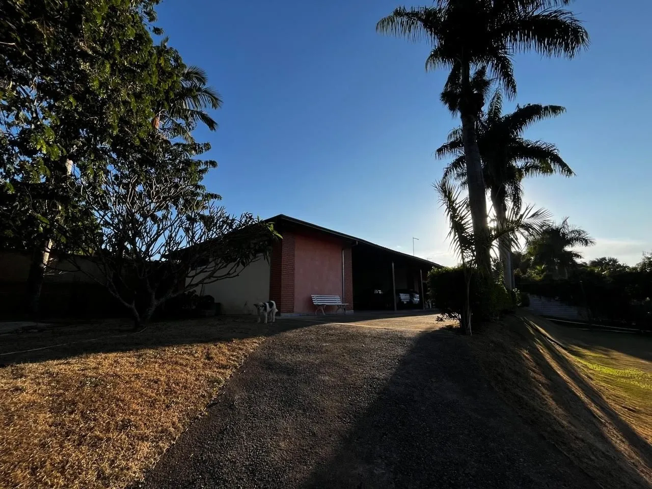 Sítio, 3 quartos, 10 m² - Foto 61