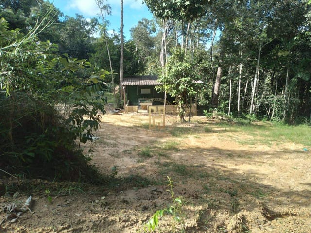 Chácara com 4m² 2 quartos e 1 banheiro, à venda, no bairro Zona Rural em Nova Mutum