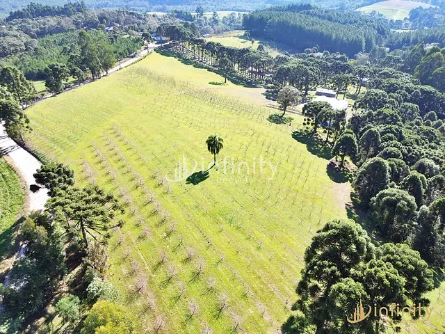 Chácara com 153470m² 3 quartos e 3 banheiros, à venda, no bairro Campina Andrades em Rio Negro