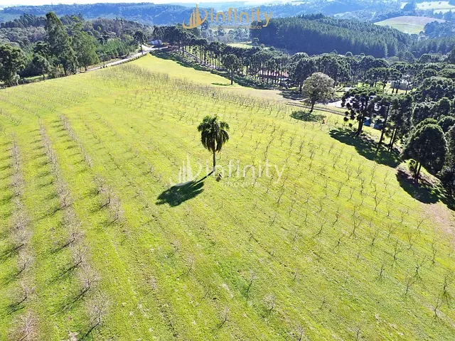 Chácara com 153470m² 3 quartos e 3 banheiros, à venda, no bairro Campina Andrades em Rio Negro