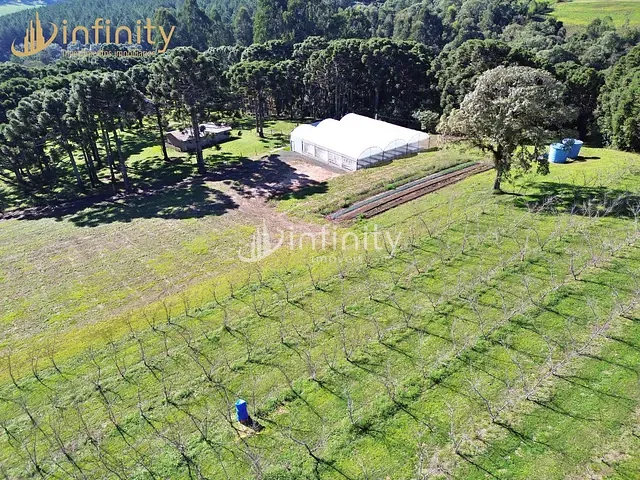Chácara com 153470m² 3 quartos e 3 banheiros, à venda, no bairro Campina Andrades em Rio Negro