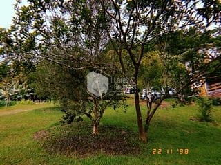 Foto do Chácara-Chácara à venda, com 144.000m² com Plantas frutíferas, espaço gramado, 3 lagos com nascentes, Casa com 4 Dorm, lareira e muito mais -  Embu-Guaçu, SP