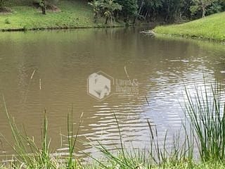 Foto do Chácara-Chácara à venda, com 144.000m² com Plantas frutíferas, espaço gramado, 3 lagos com nascentes, Casa com 4 Dorm, lareira e muito mais -  Embu-Guaçu, SP