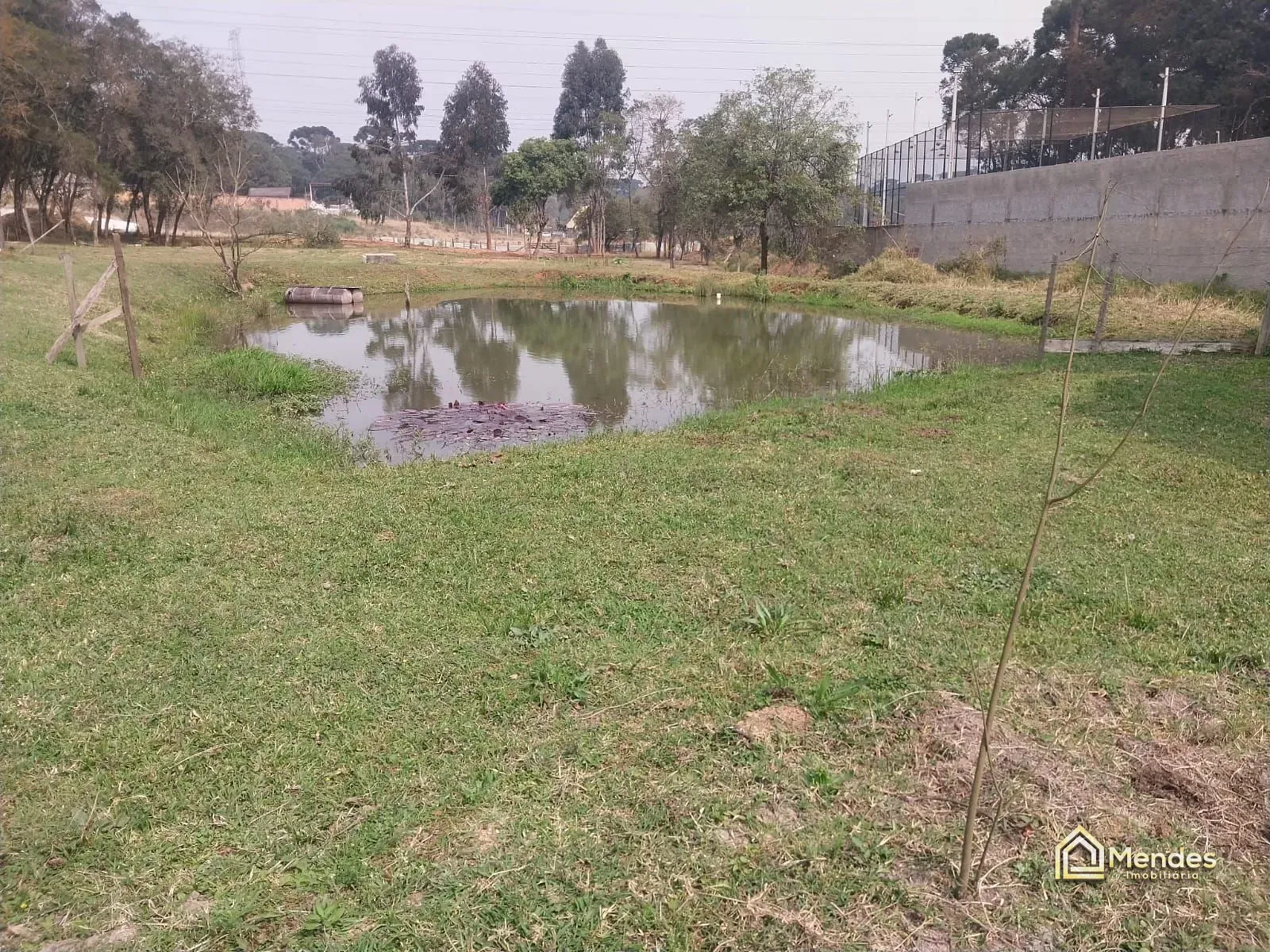 Chácara, 3 quartos, 3000 m² - Foto 18