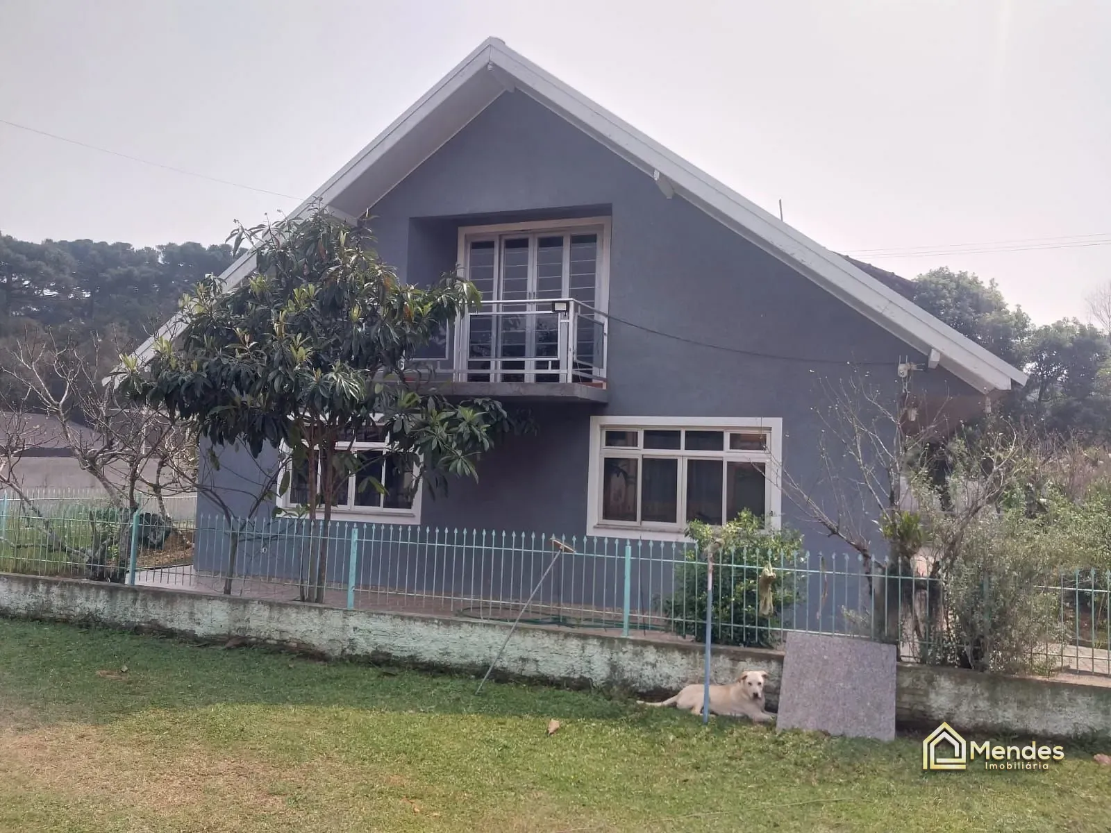 Chácara, 3 quartos, 3000 m² - Foto 19