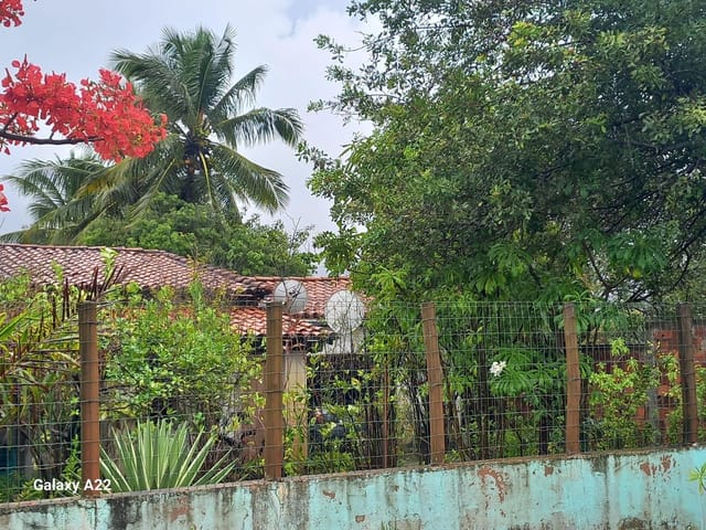 Foto do Casa - Casa a venda com bastante area verde na Ilha do Meio Itacimirim. Com 3 quartos sendo 1 suite! | MB Marcia Buzzacchino Imobiliária