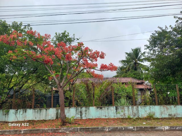 Foto do Casa - Casa a venda com bastante area verde na Ilha do Meio Itacimirim. Com 3 quartos sendo 1 suite! | MB Marcia Buzzacchino Imobiliária