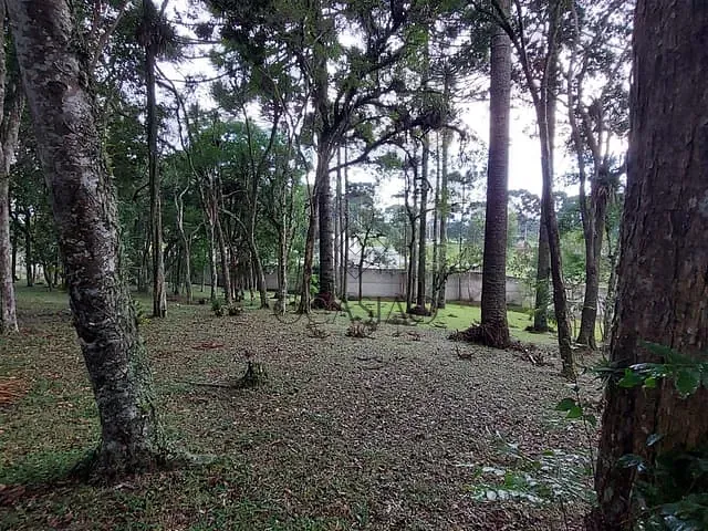 Chácara com 39051m² 1 quarto e 1 banheiro, à venda, no bairro Vila Fuck em Piraquara