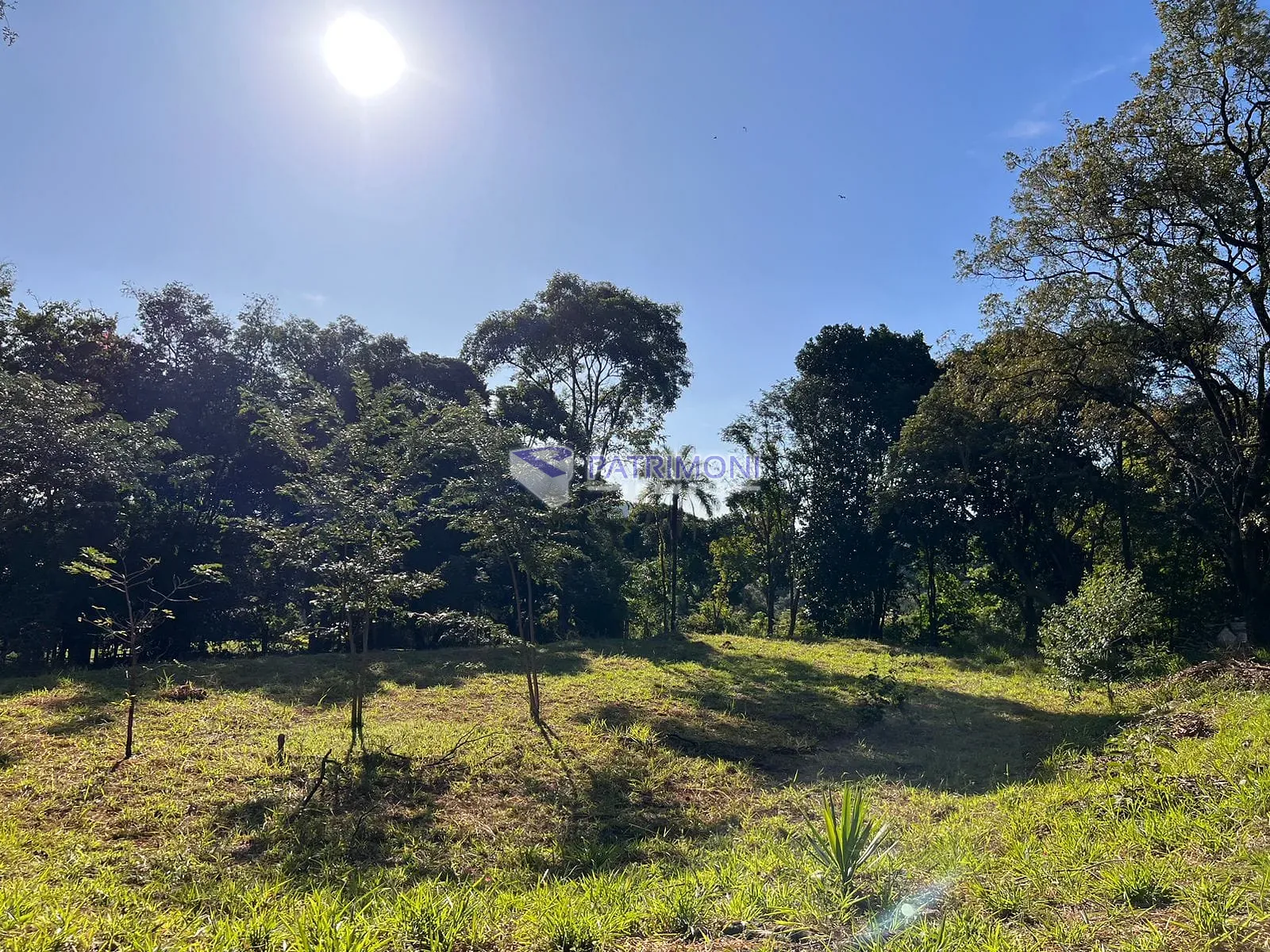 Chácara, 3 quartos, 7525 m² - Foto 20