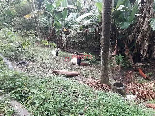 Chácara 5 quartos e 5 banheiros, à venda, no bairro Balneária em São Bernardo do Campo