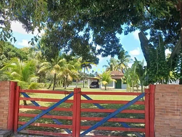 Sítio com 8000m² 7 quartos e 7 banheiros, à venda, no bairro Jaguaripe em Jaguaripe
