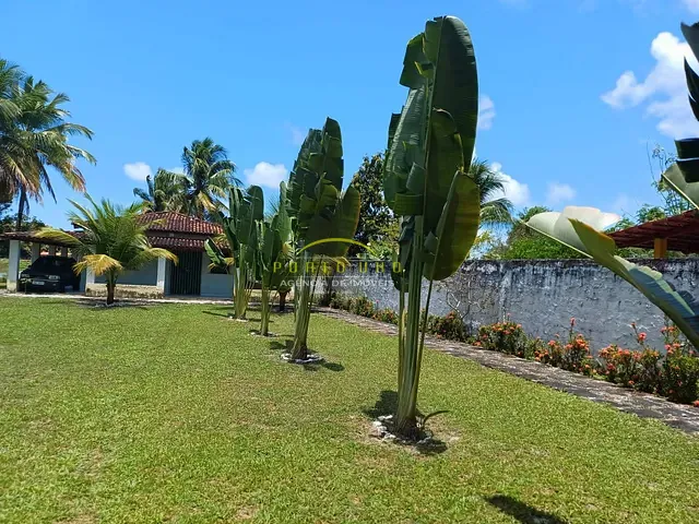 Sítio com 8000m² 7 quartos e 7 banheiros, à venda, no bairro Jaguaripe em Jaguaripe