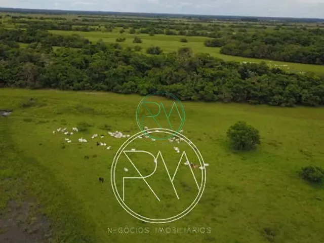 Fazenda com 13500000m², à venda, no bairro zona rural em Batayporã