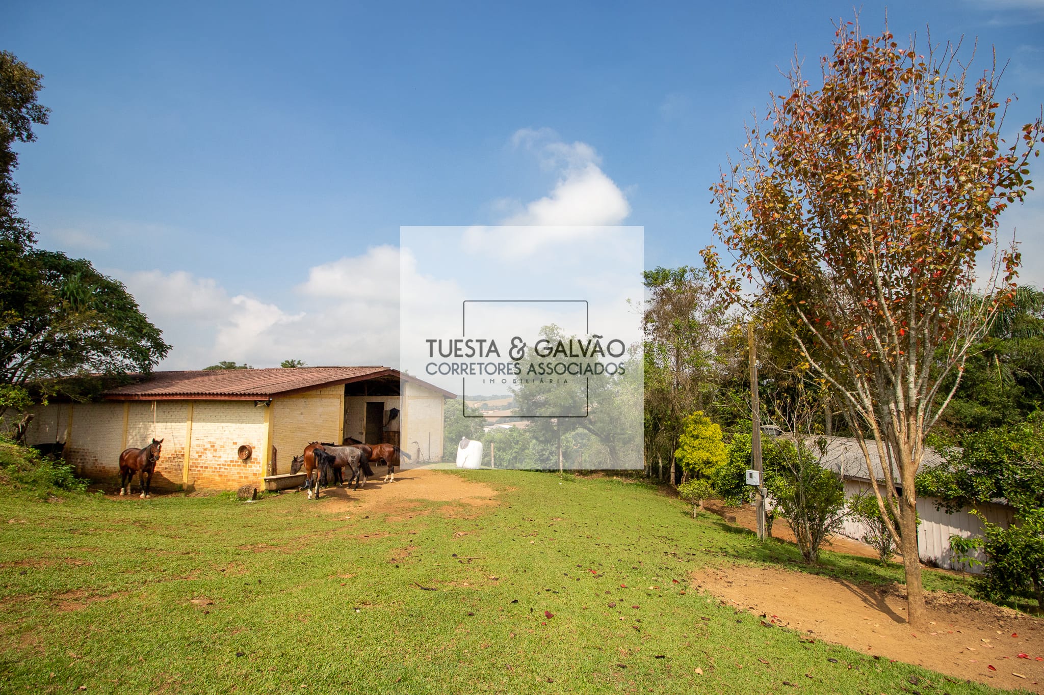 https://static.arboimoveis.com.br/CH0001_TGCA/chacaraavendabompastorcampomagropr_1622423706049_watermark.jpg