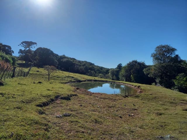 Chácara com 90000m² 2 quartos e 1 banheiro, à venda, no bairro Cascata em Pelotas