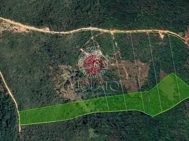 Chácara com 200000m², à venda, no bairro Loteamento Rural Zibaliana em Lagoa Santa