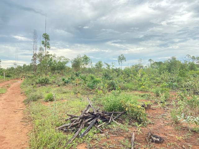 Chácara à venda, no bairro Centro em Abadiânia