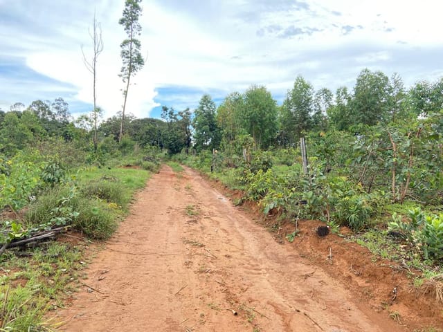 Chácara à venda, no bairro Centro em Abadiânia