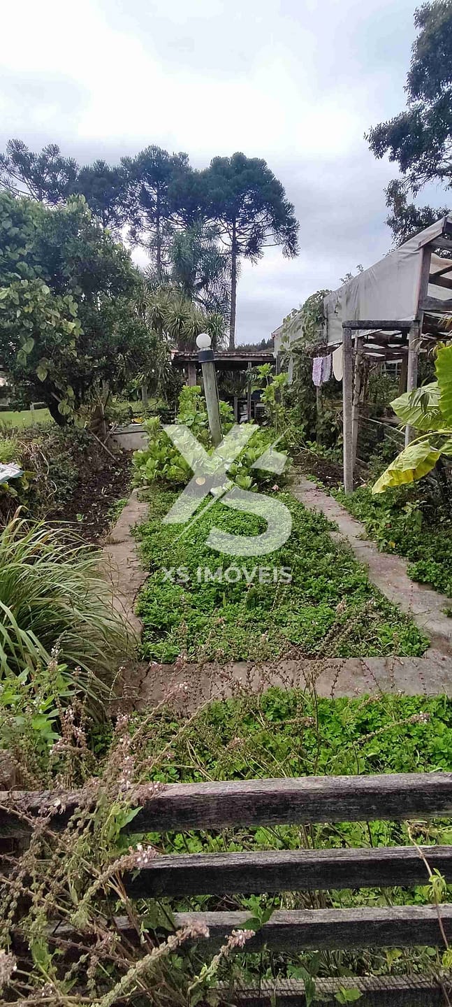 Chácara à venda com 4 quartos, 200m² - Foto 11