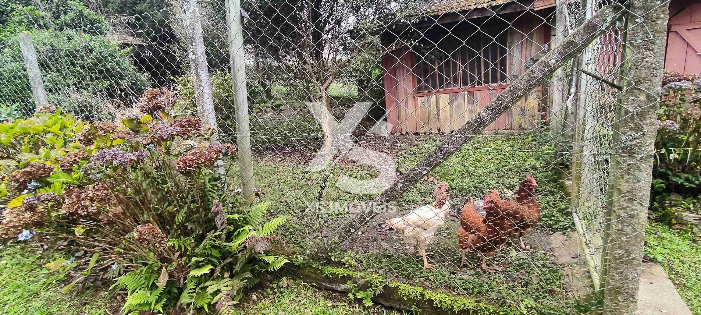 Chácara à venda com 4 quartos, 200m² - Foto 10