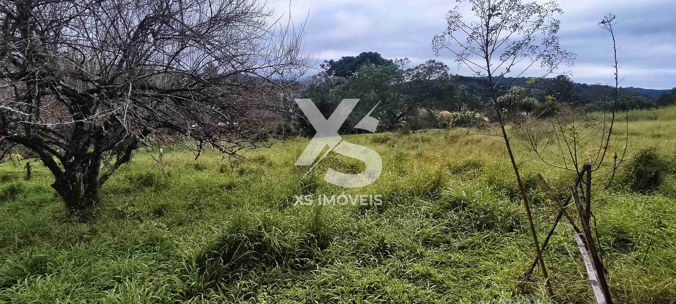 Chácara à venda com 4 quartos, 200m² - Foto 9