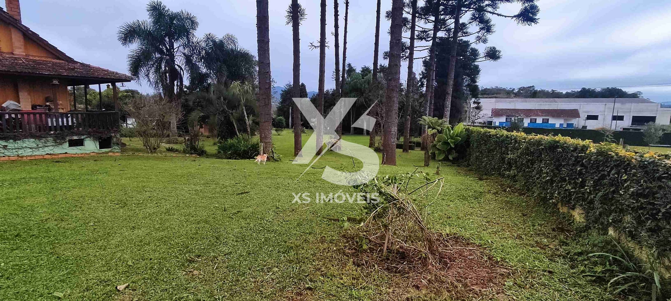 Chácara à venda com 4 quartos, 200m² - Foto 17