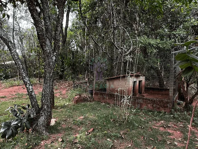 Chácara com 5000m² 2 quartos e 2 banheiros, à venda, no bairro Chácara dos Poderes em Campo Grande
