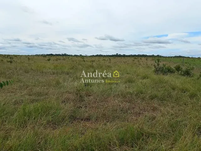 Fazenda com 1500m² 5 quartos e 5 banheiros, à venda, no bairro porto alegre do norte em Porto Alegre do Norte