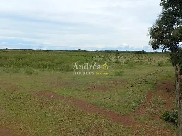 Fazenda com 1500m² 5 quartos e 5 banheiros, à venda, no bairro porto alegre do norte em Porto Alegre do Norte