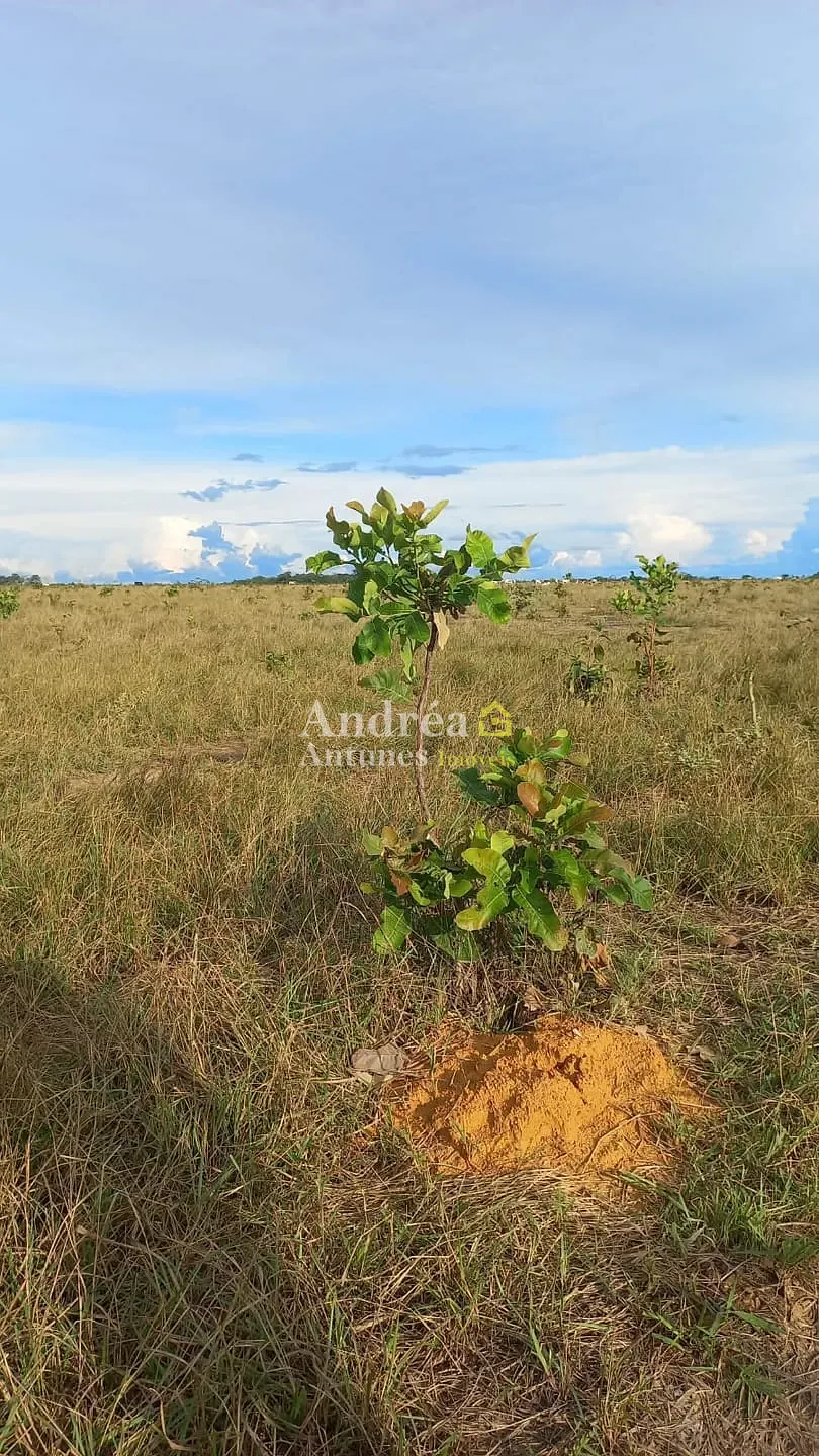 Fazenda, 1500 m² - Foto 6