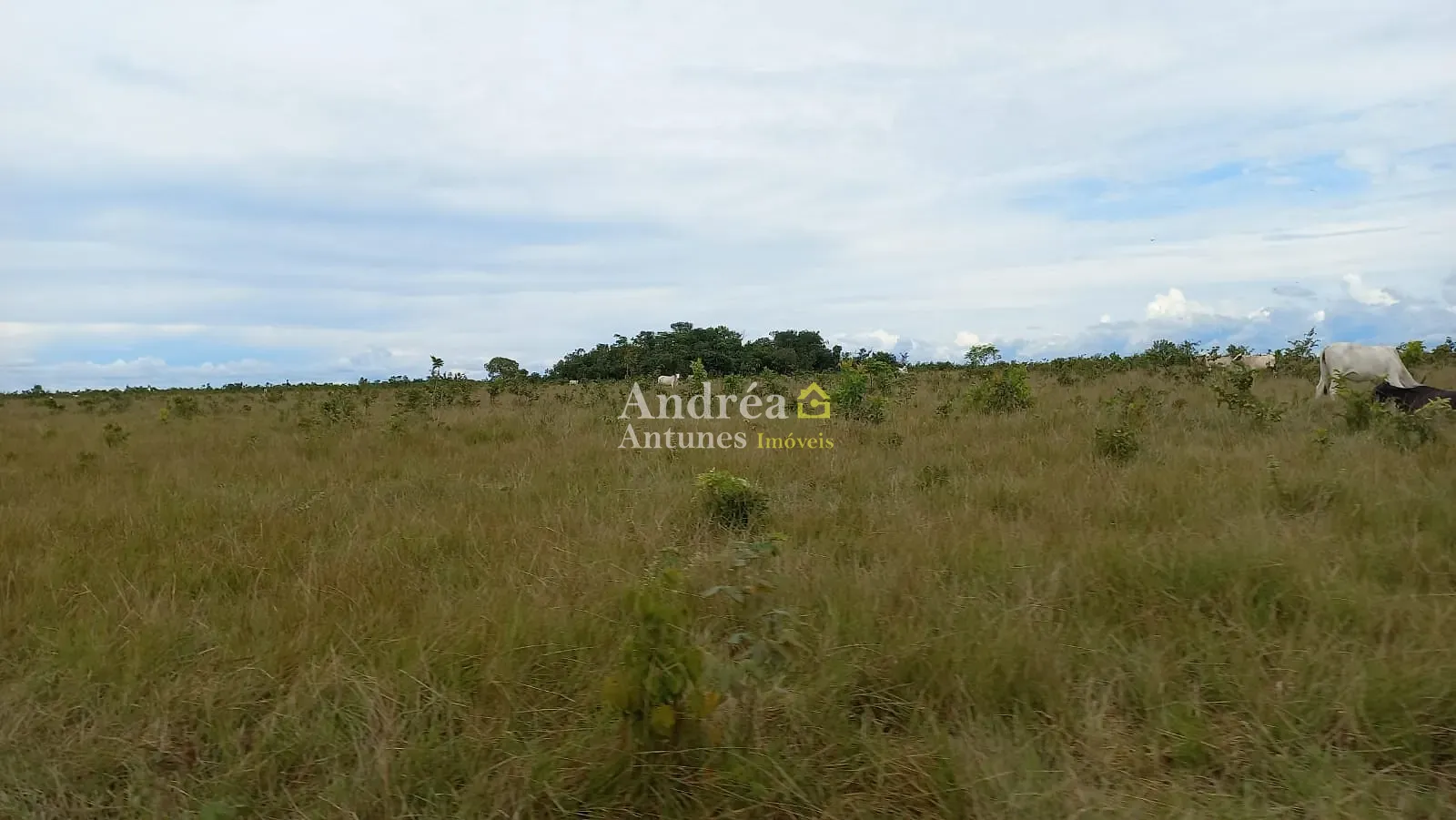 Fazenda, 1500 m² - Foto 23
