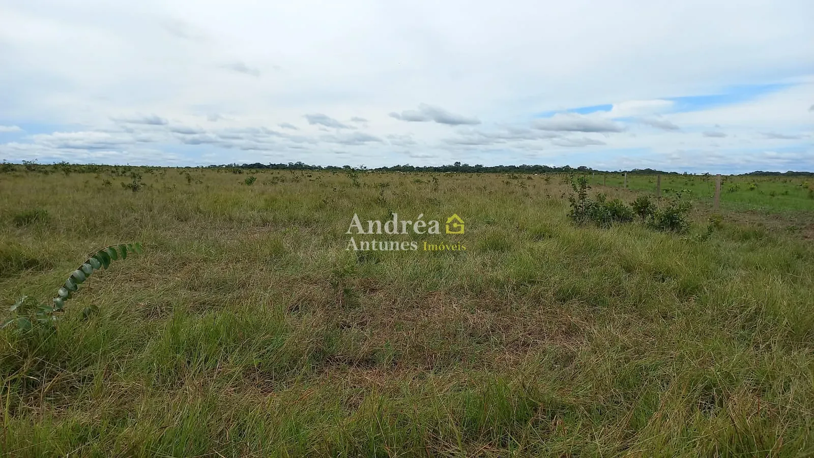 Fazenda, 1500 m² - Foto 4