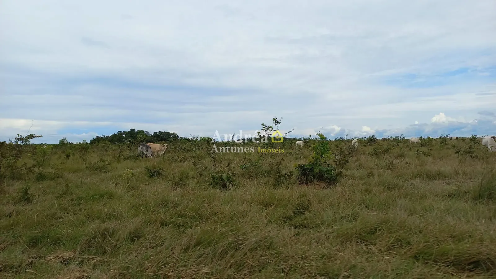 Fazenda, 1500 m² - Foto 22