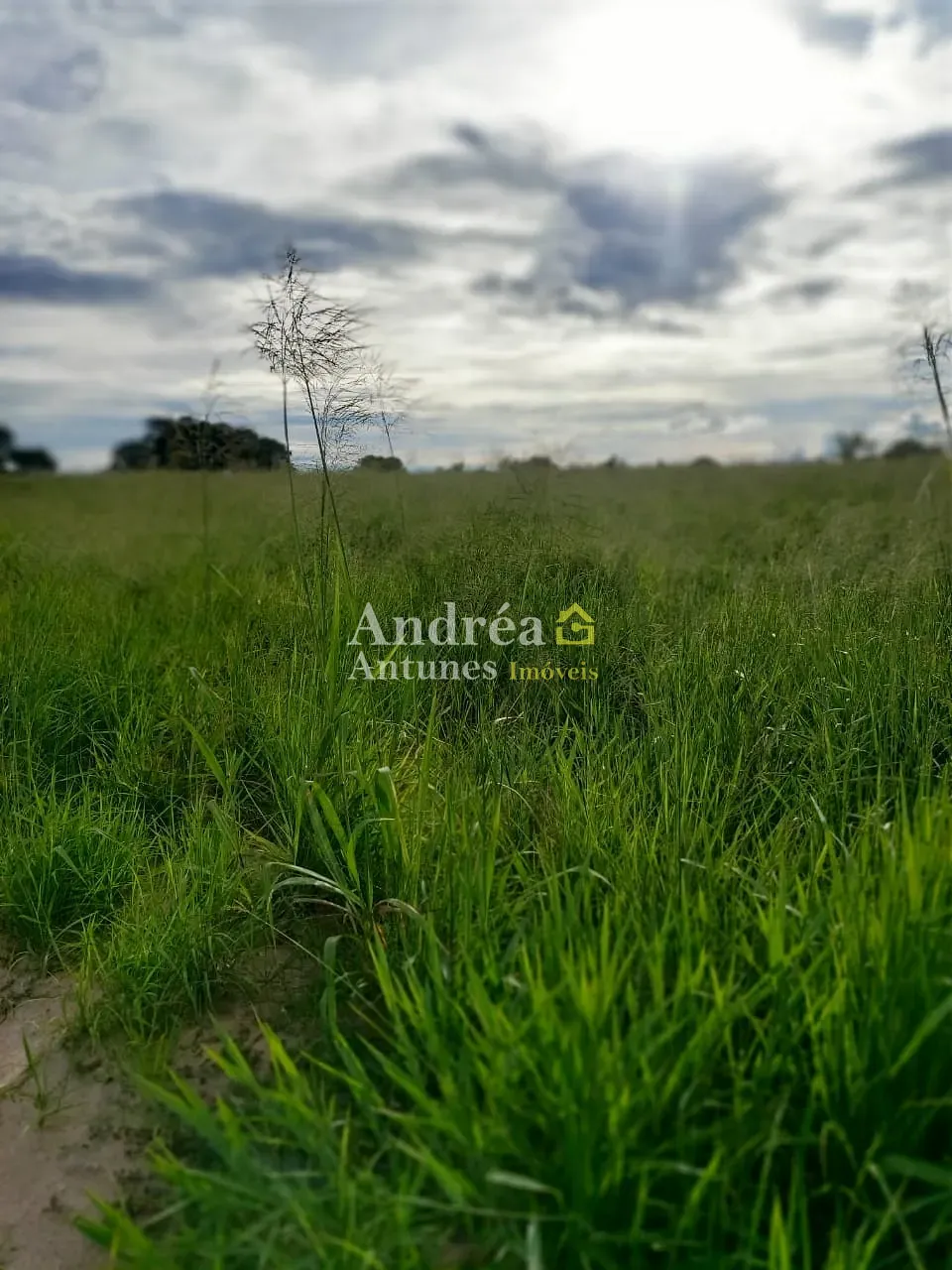 Fazenda, 1500 m² - Foto 17
