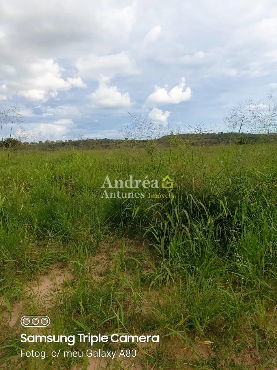 Fazenda, 1500 m² - Foto 7