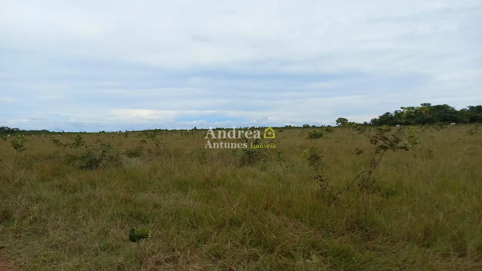 Fazenda, 1500 m² - Foto 20
