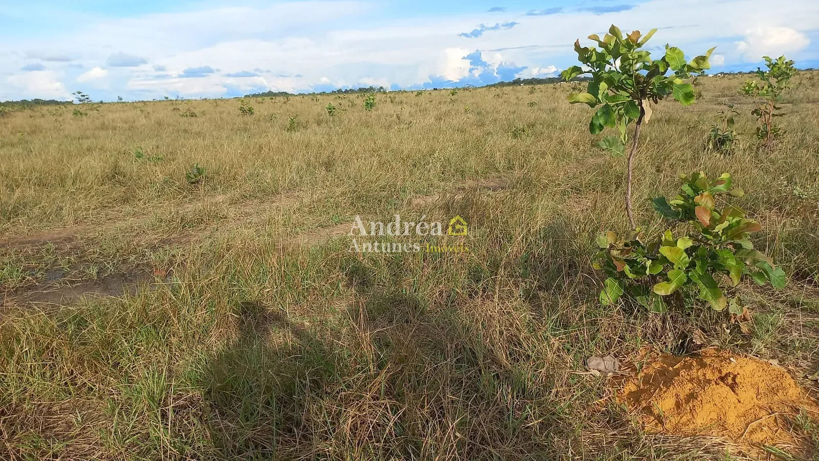 Fazenda, 1500 m² - Foto 14