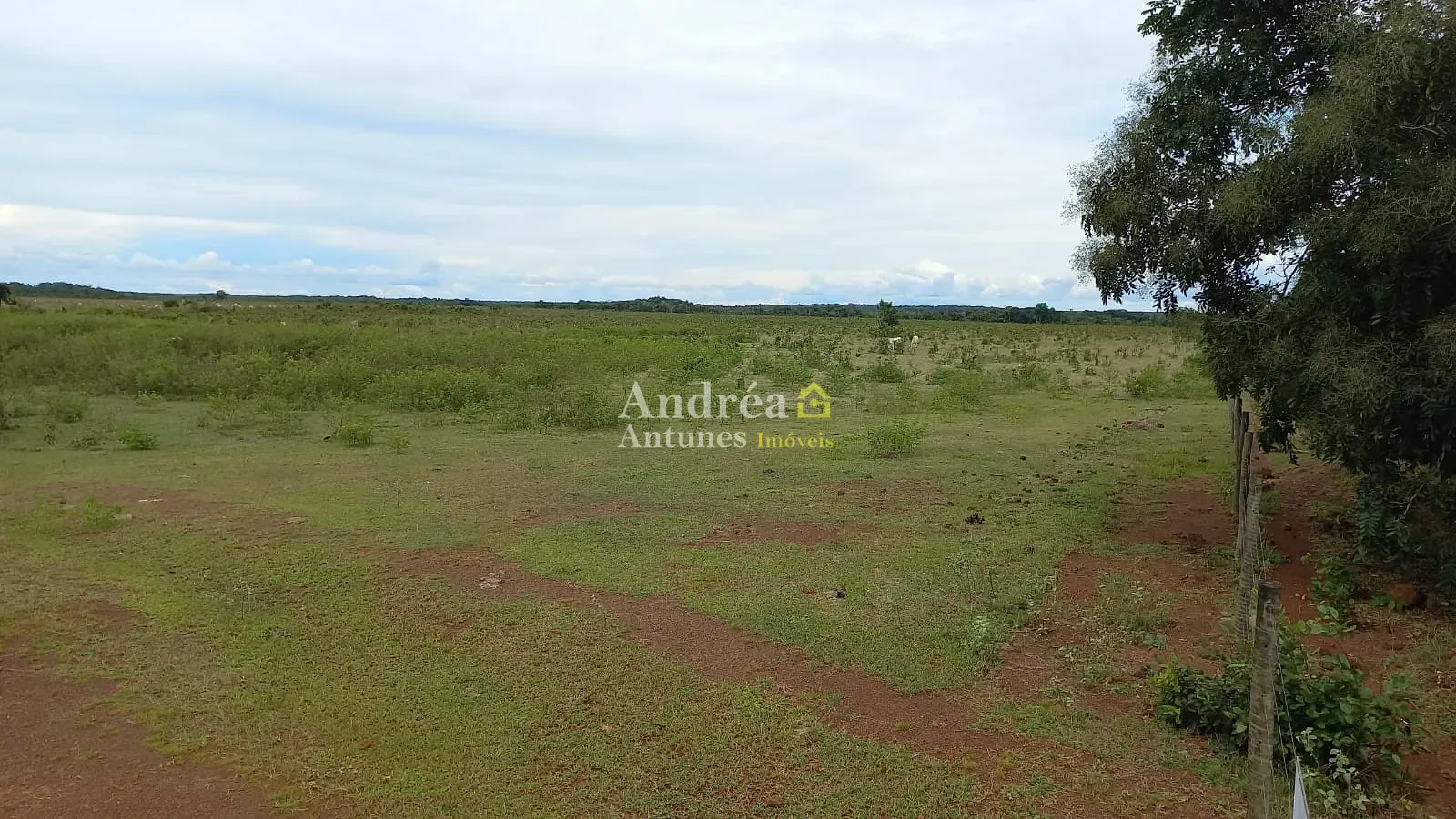 Fazenda, 1500 m² - Foto 29